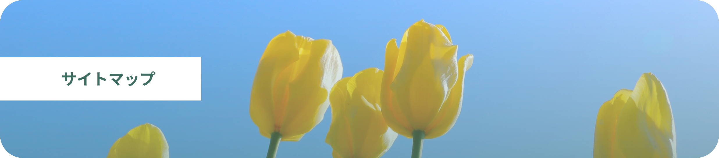 サイトマップ